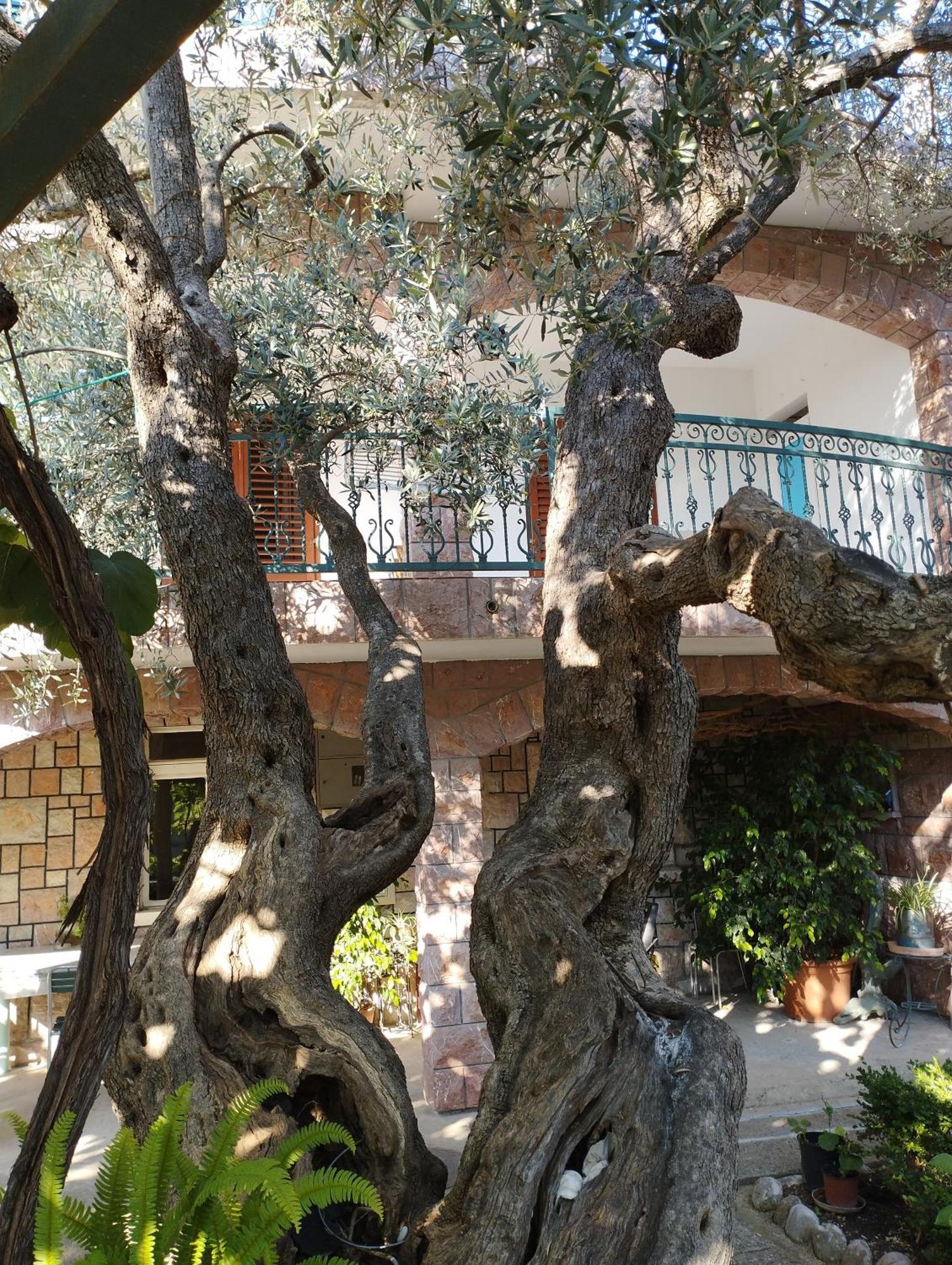 Zoro Apartments Sveti Stefan Oda fotoğraf
