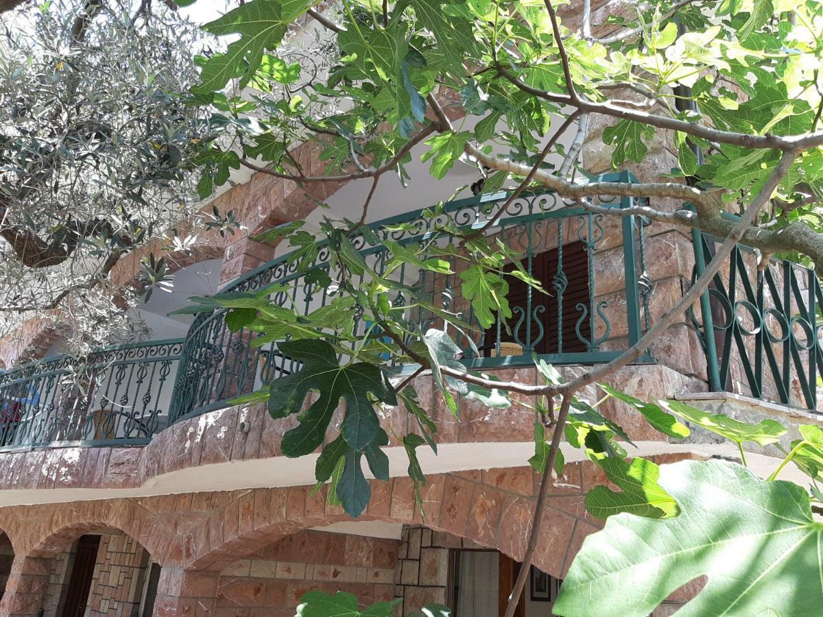 Zoro Apartments Sveti Stefan Dış mekan fotoğraf